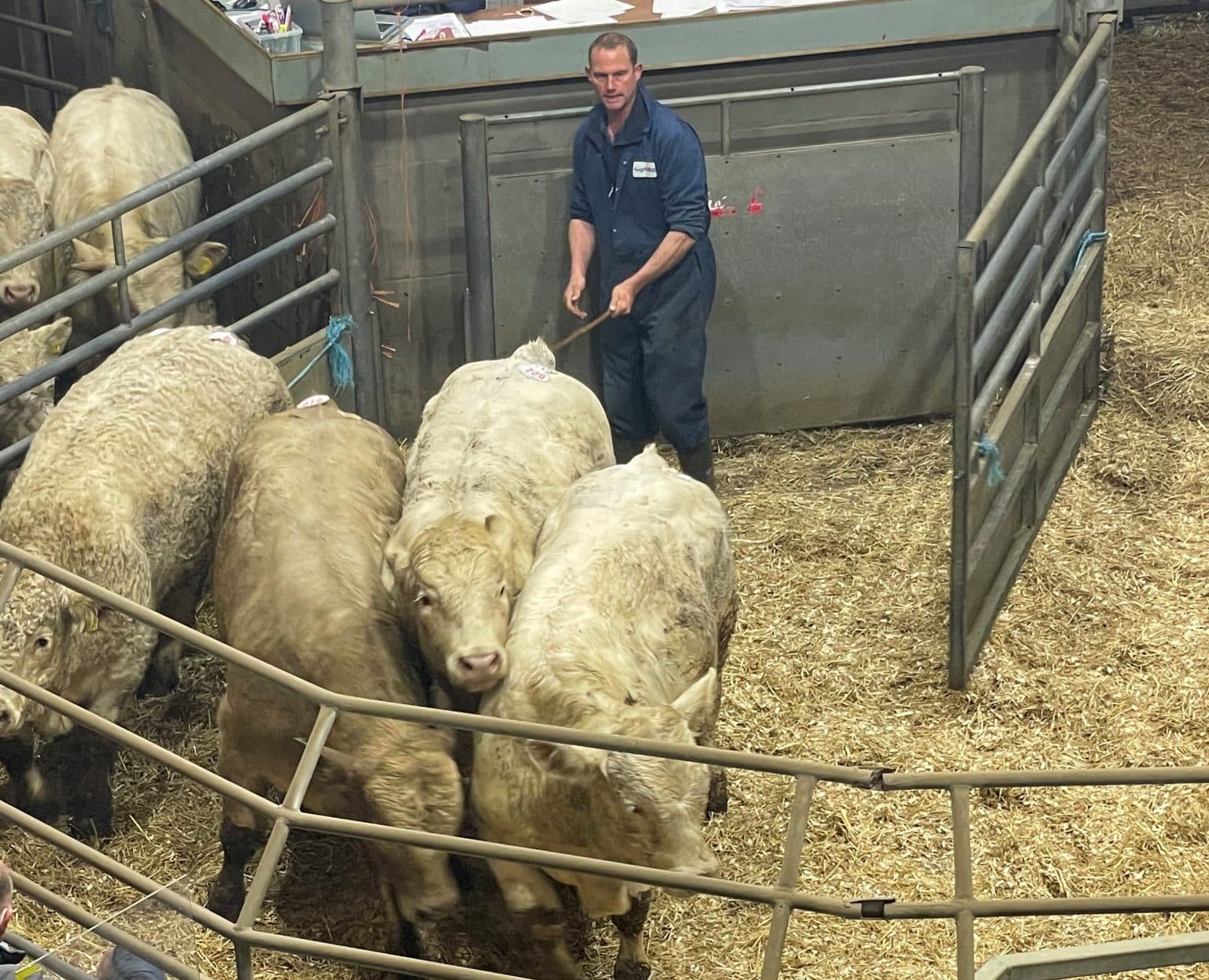 Bakewell Market Report Bagshaws