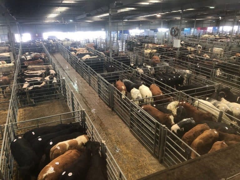 Bakewell Market Bagshaws