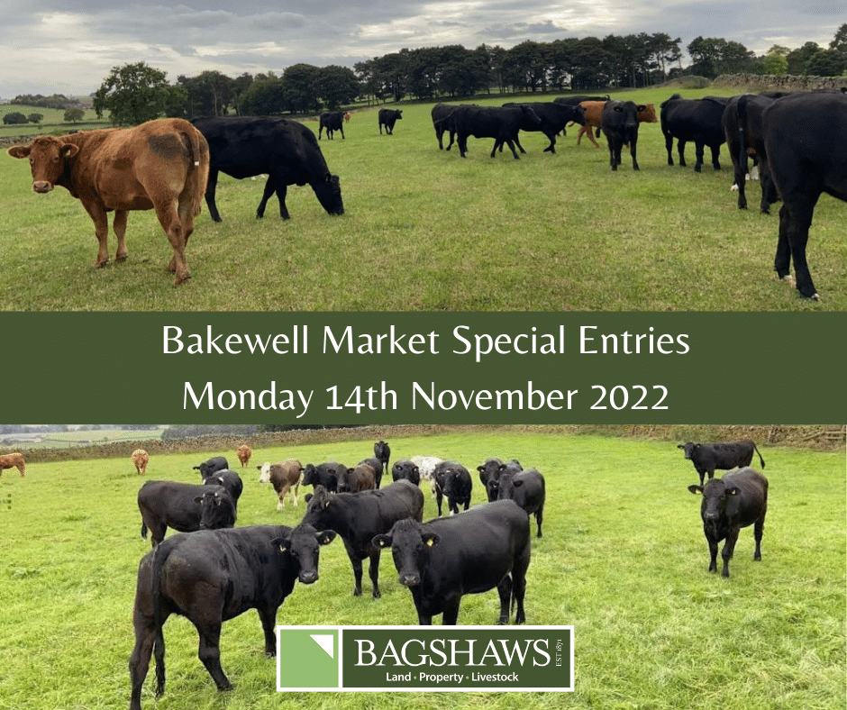 Bakewell Market Report Bagshaws