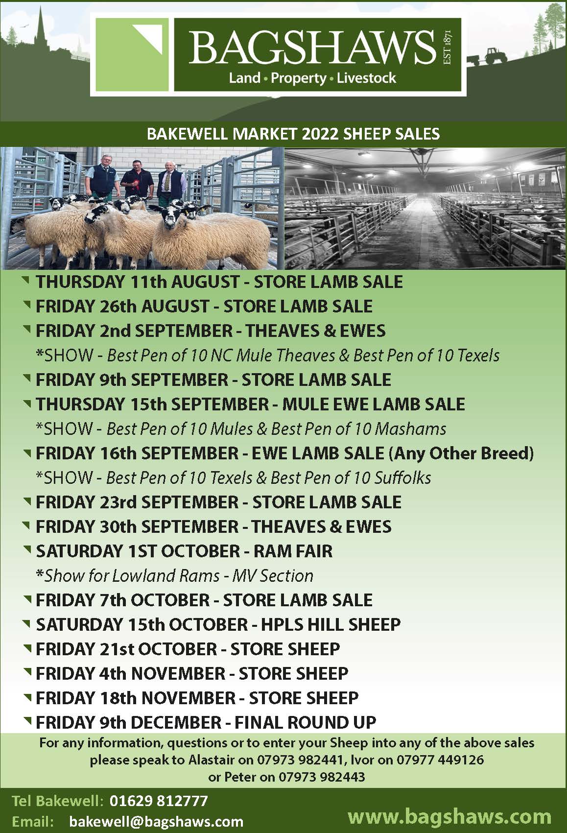 Bakewell Market Store Sheep Sales 2022 Bagshaws