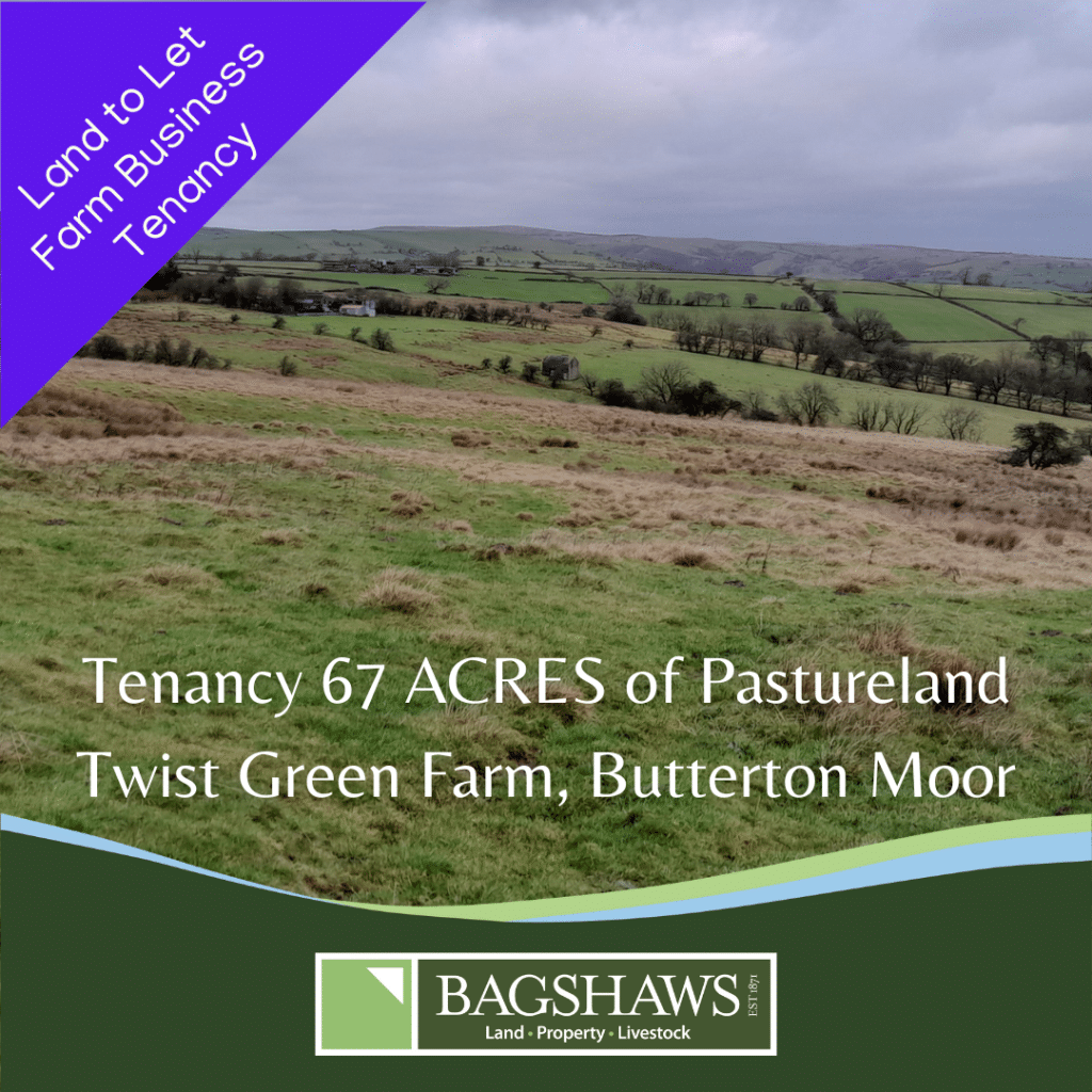Land to rent on a 3 year Farm Business Tenancy 67 ACRES (27 Ha) or