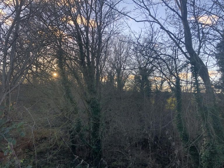 Lot 7 – Land at Fan Field Farm, Lindrick Dale, Worksop, S81 8BE