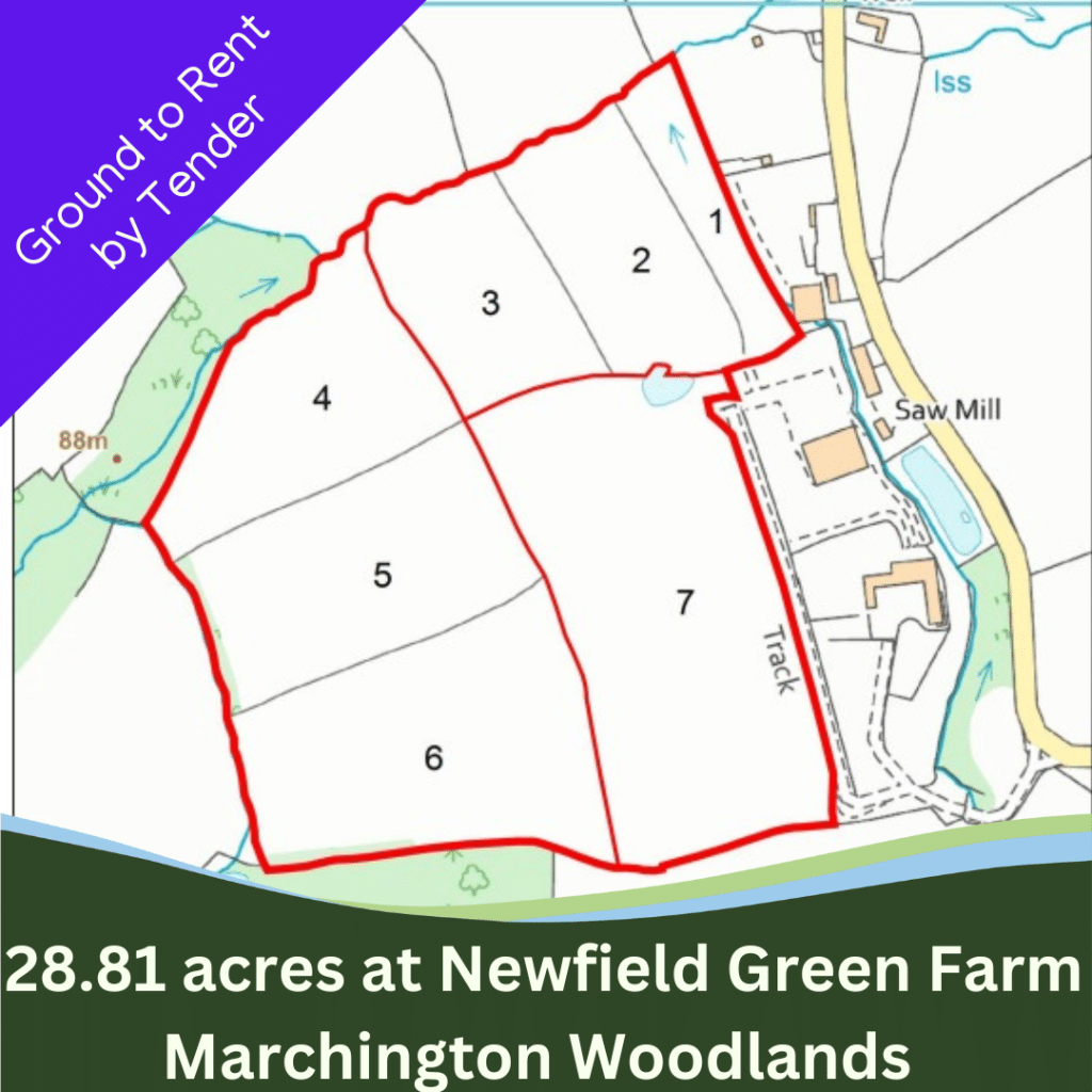 Opportunity to Rent 28.81 Acres (11.66 Ha) Grassland Bagshaws