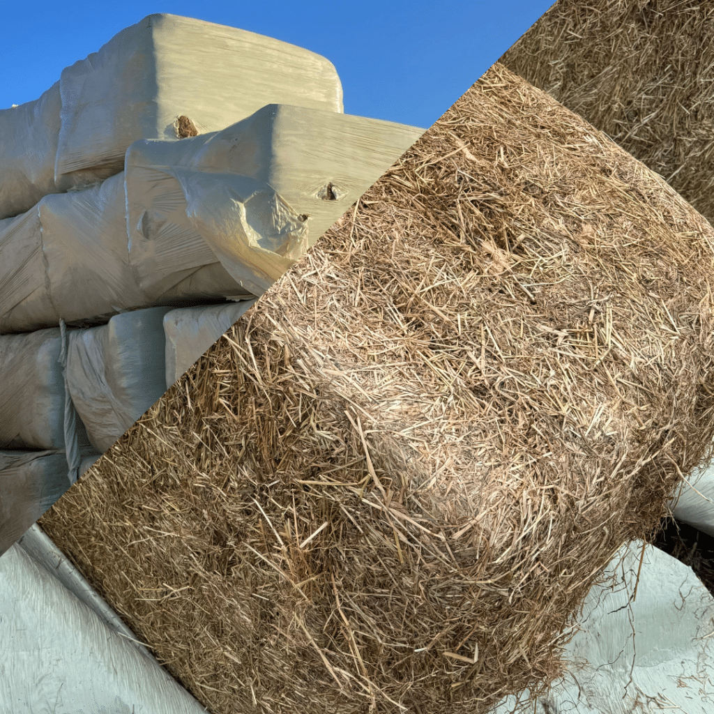 February Produce Auction Bagshaws