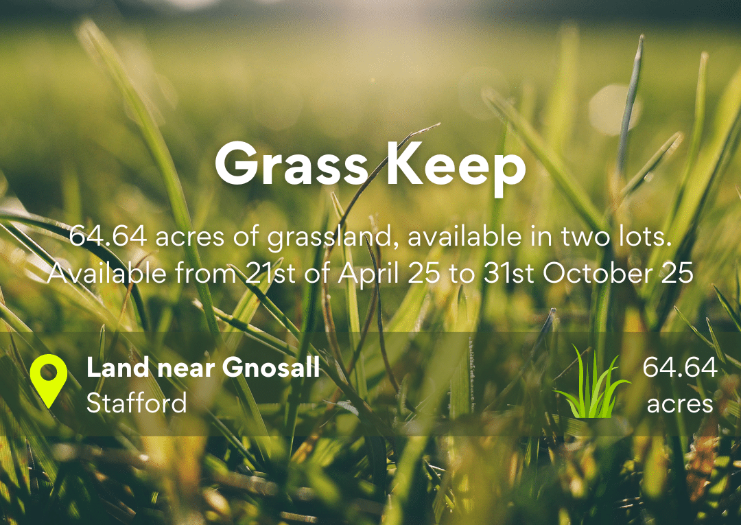 GRASS KEEP – INFORMAL TENDER