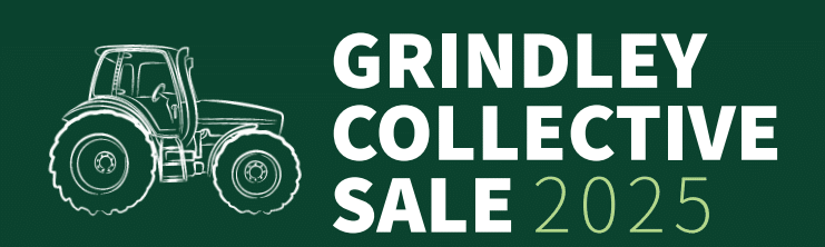 Annual Grindley Collective Sale