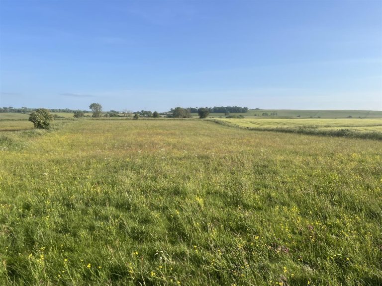 Lot A, Land at Elton Moor, Elton, Matlock