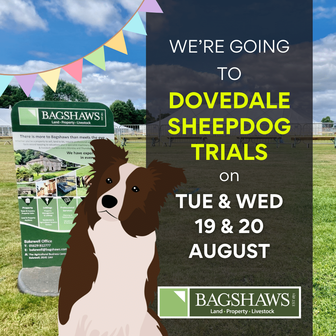 DOVEDALE SHEEPDOG TRIALS