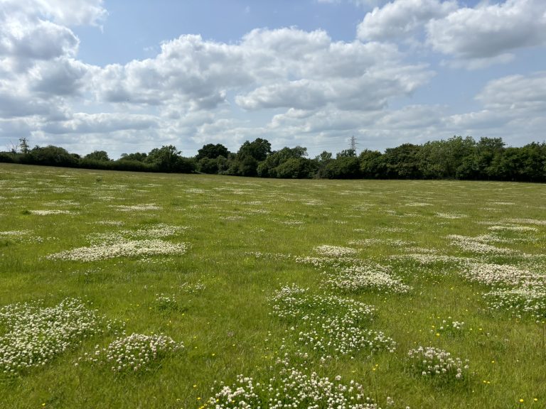 Land to Let Situated in Mercaston, Derbyshire