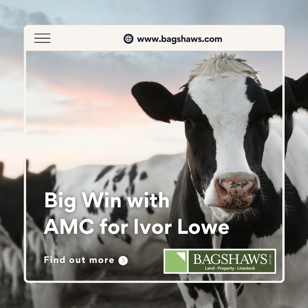 AMC Success: £120K Loan Secured by Ivor Lowe for New Cattle Shed and Silage Clamp