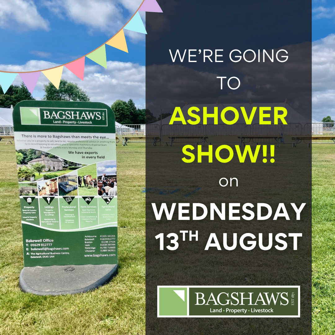 ASHOVER SHOW