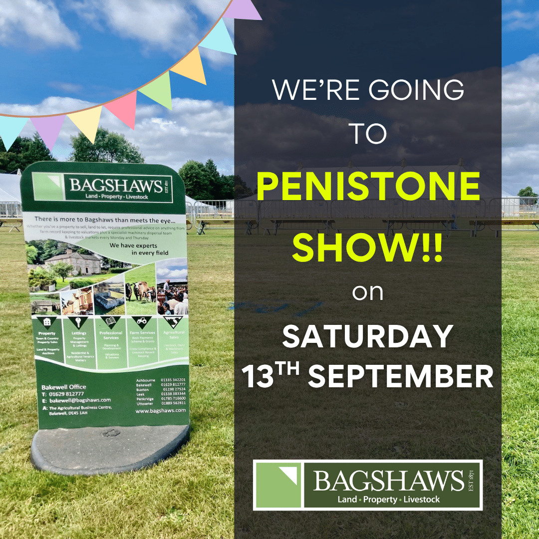PENISTONE SHOW
