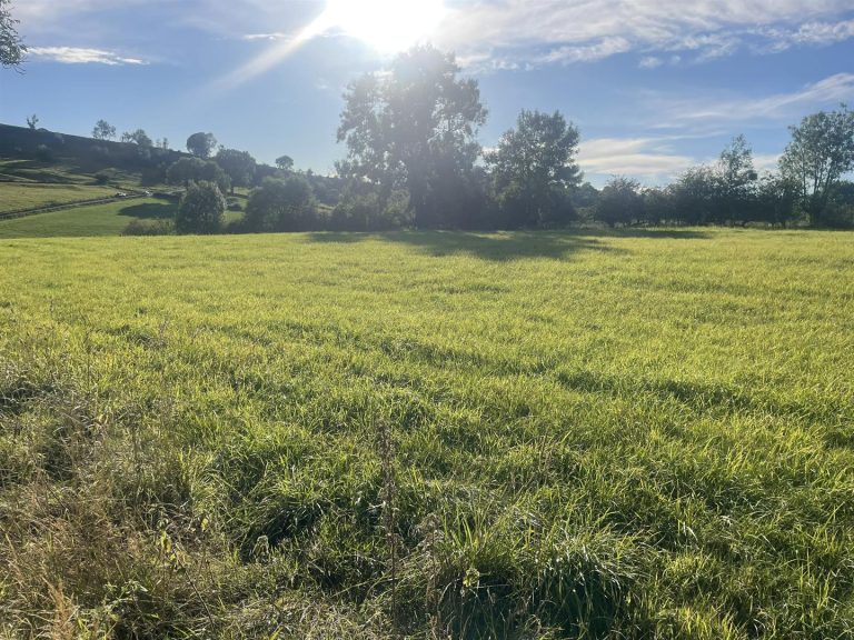 Lot A, Land at Crowdecote, Crowdecote, Longnor