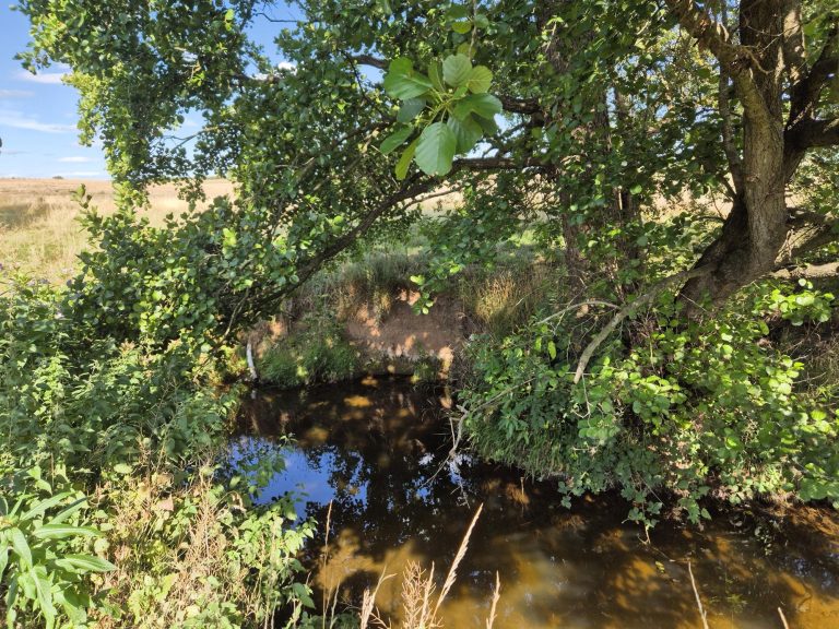 Fishing Rights at Cubley Brook, Boylestone
