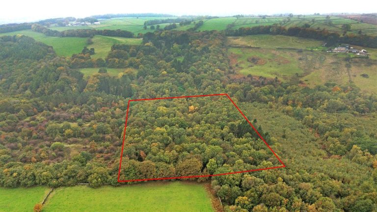 Woodland off Bent Lane