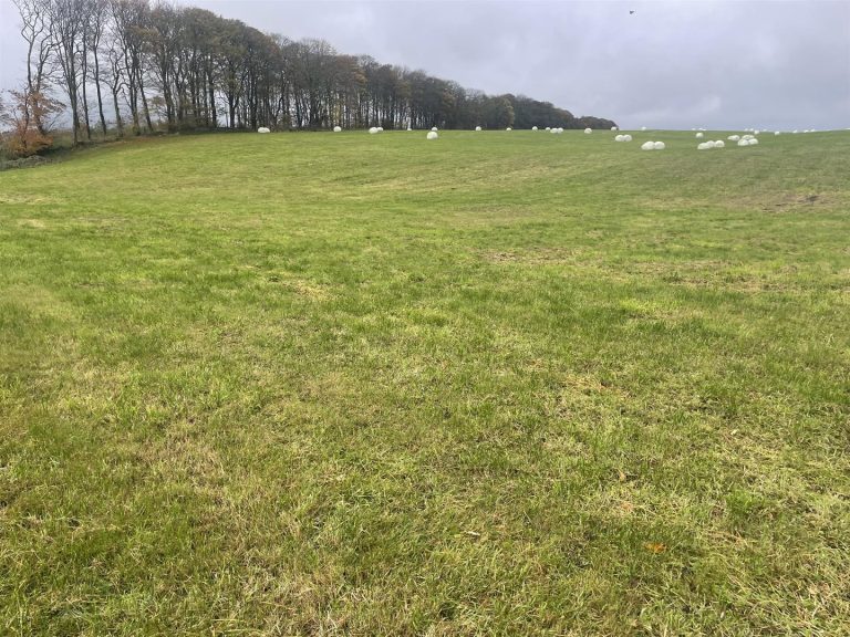 Land off Grin Low, Sheldon