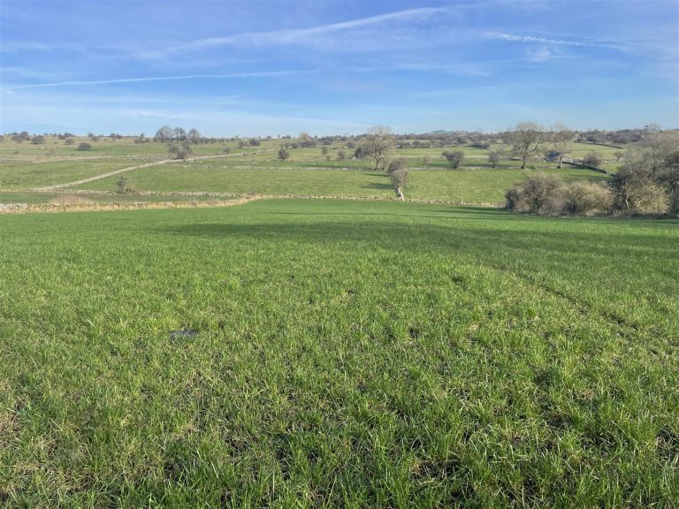 Lot 2, Ible, Grangemill, Matlock