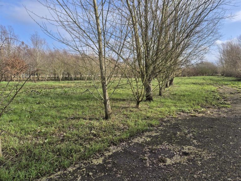 Poppyfields, Lichfield Road, Wychnor