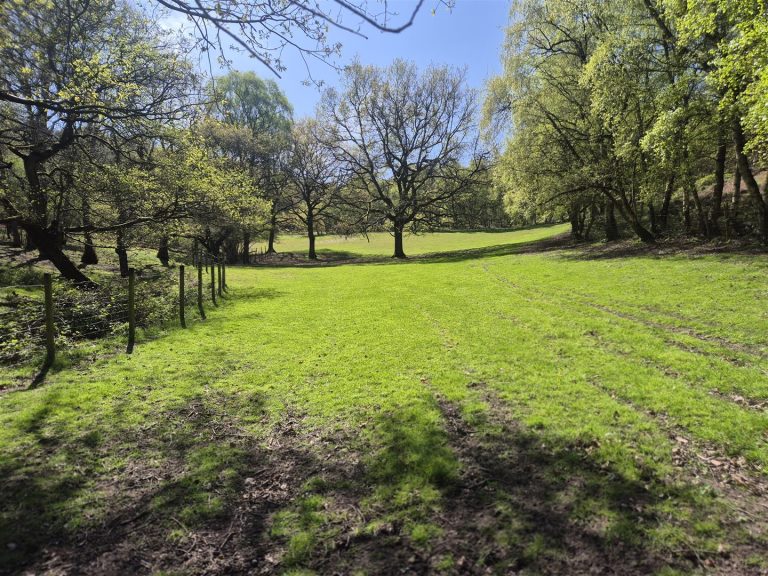 Land, Stables and Woodland at Colliery Road Rugeley, Staffordshire WS15 1QN