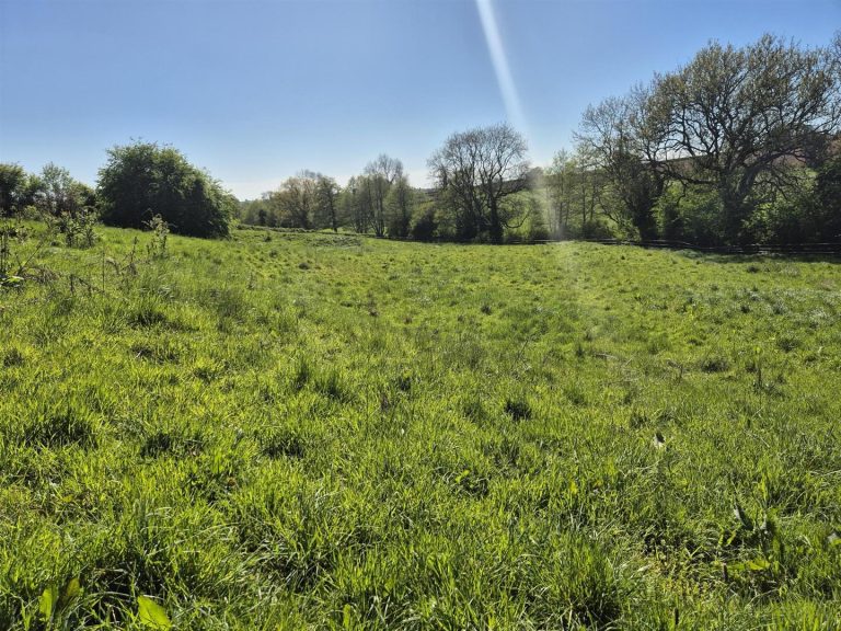 Lot Four: Land at Rectory Farm, Mugginton