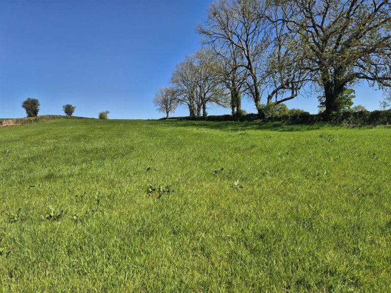 Lot Four: Land at Rectory Farm, Mugginton
