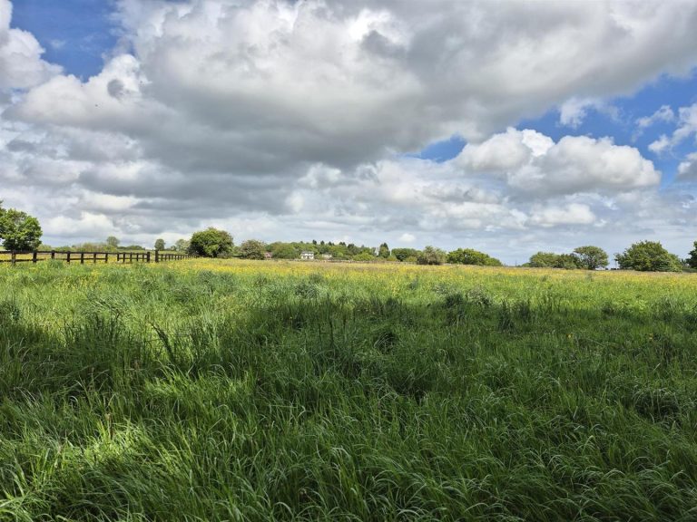 Land, Woodland and Stables off Shaw Lane, Milford