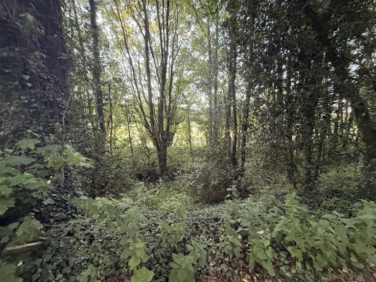 Lot B Land off Salt Road Salt,