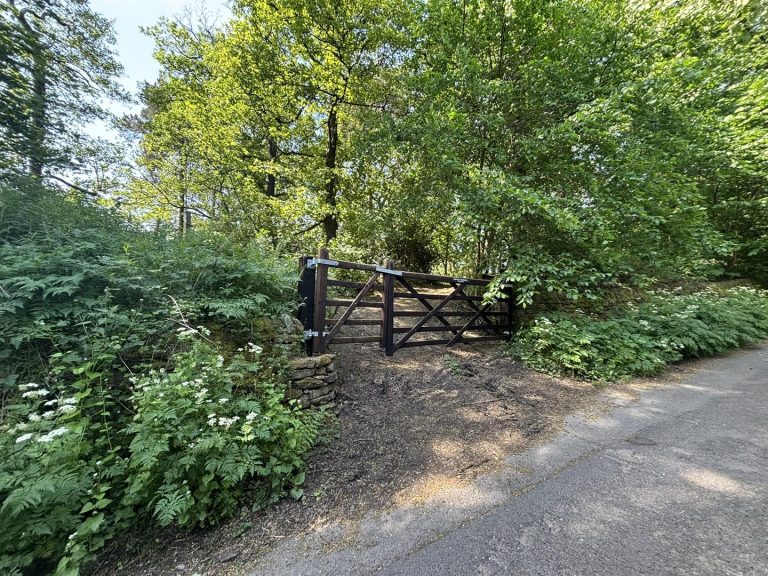 Woodland at The Wash, Chapel-En-Le-Frith