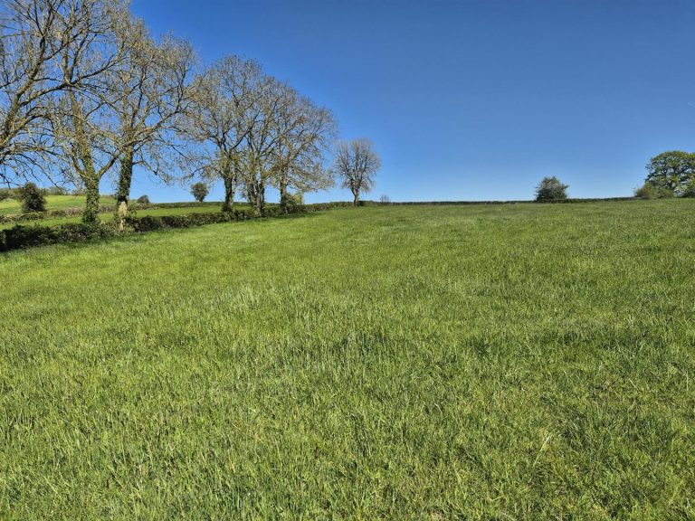 Lot Three: Land at Rectory Farm, Mugginton
