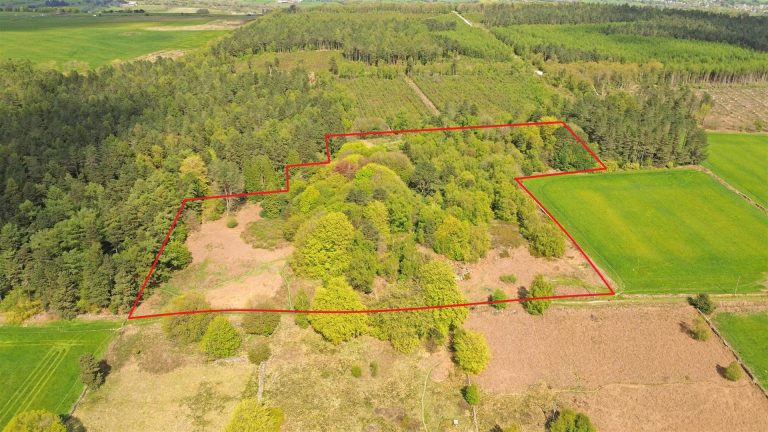 Former Quarry and Woodland Off Cuckoostone Lane, Matlock