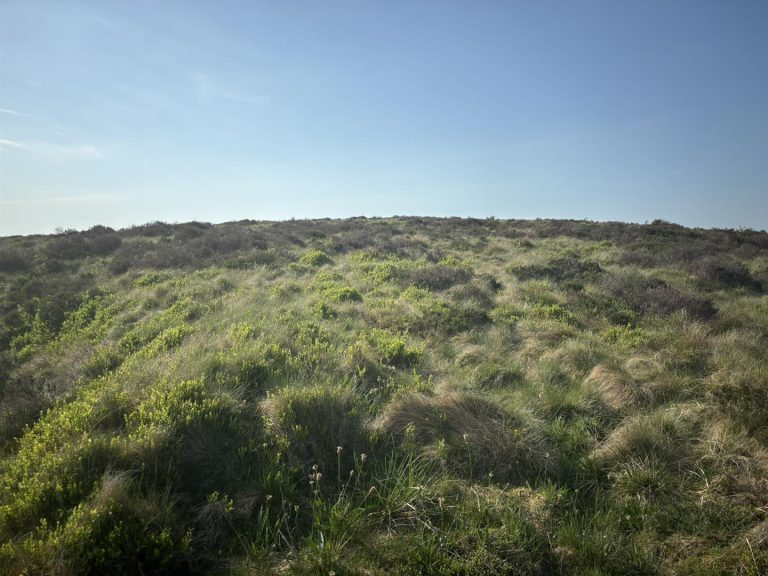 Land to the East of Moor Cottage, Brandside, Buxton