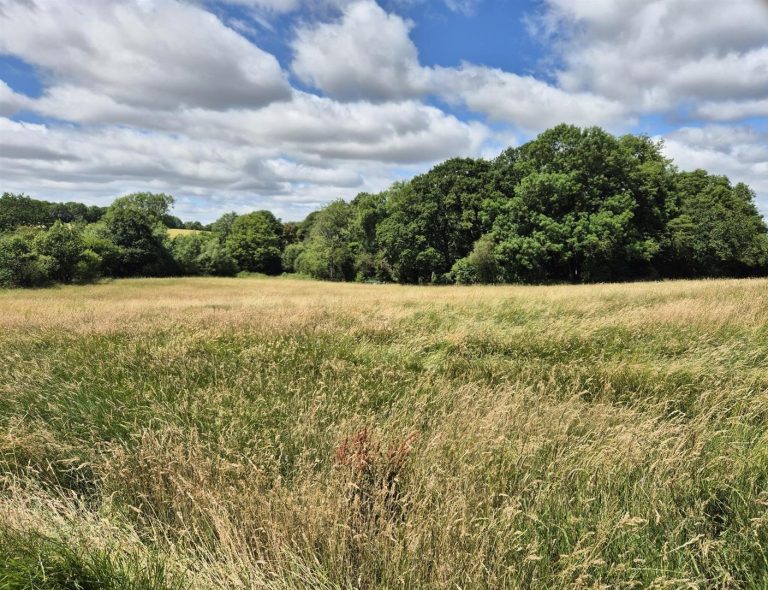 Land at Strelley, Cossall, Nottingham