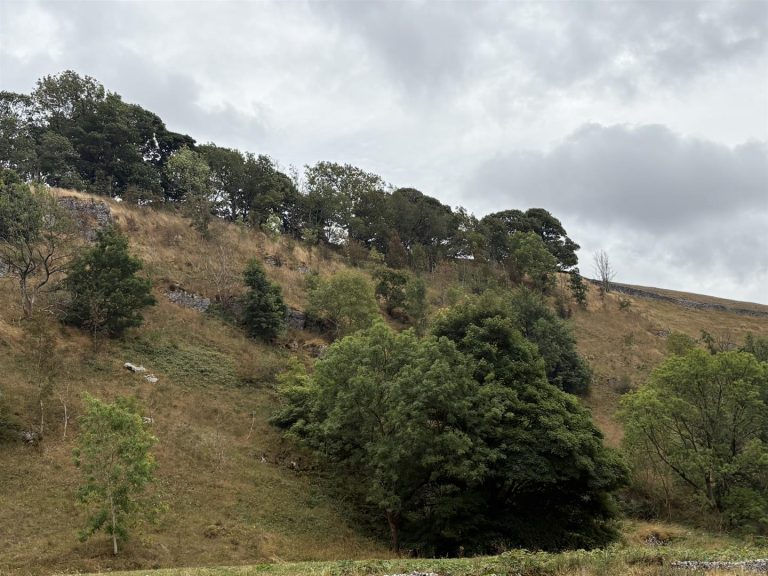 Hardings Lane, Hartington, Buxton