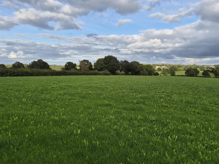 Lot B, Land at Firs Farm, Snelston