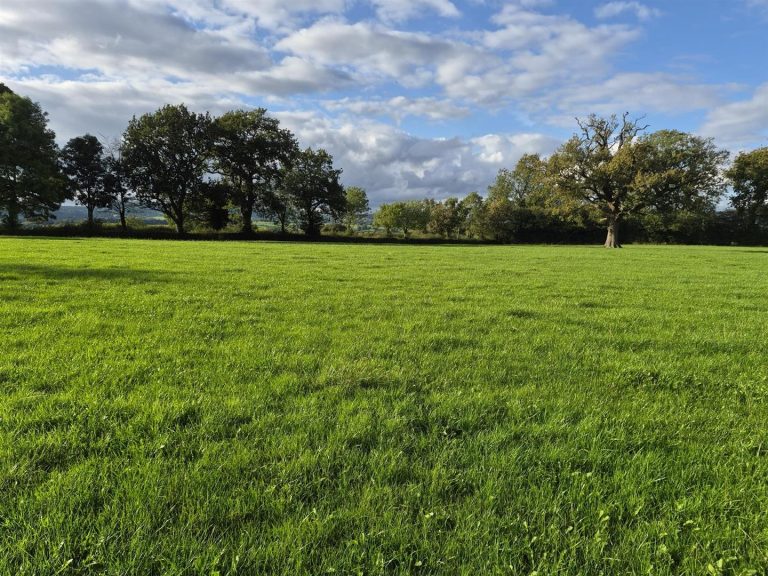 Lot A, Land at Firs Farm, Snelston
